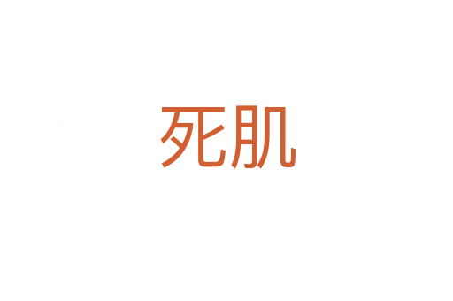    肌